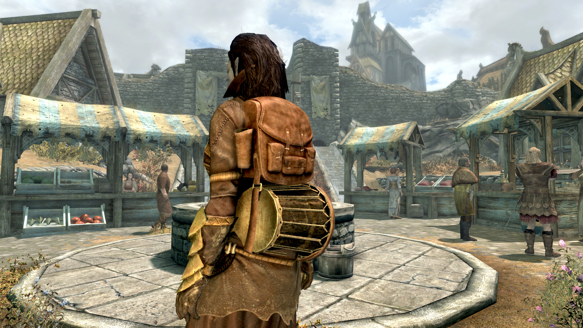 bardbackpackwithinstrument.jpg